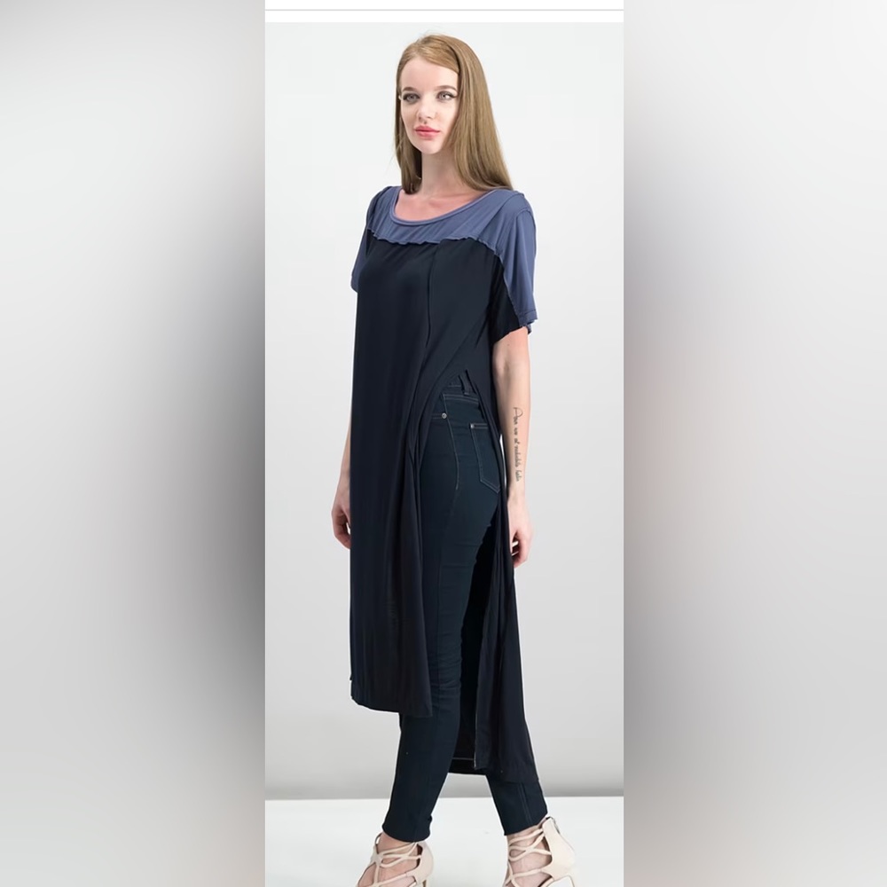NWT FREE PEOPLE Colorblock Bandwagon Tunic Sz L